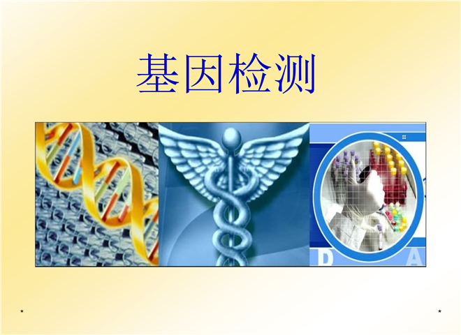04_基因检测解析