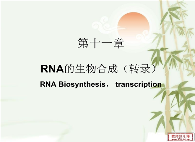 04_RNA的生物合成