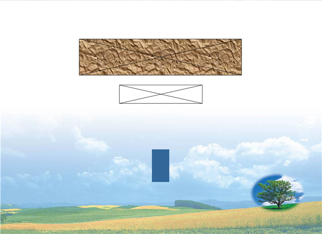 06_细胞信号转导-6