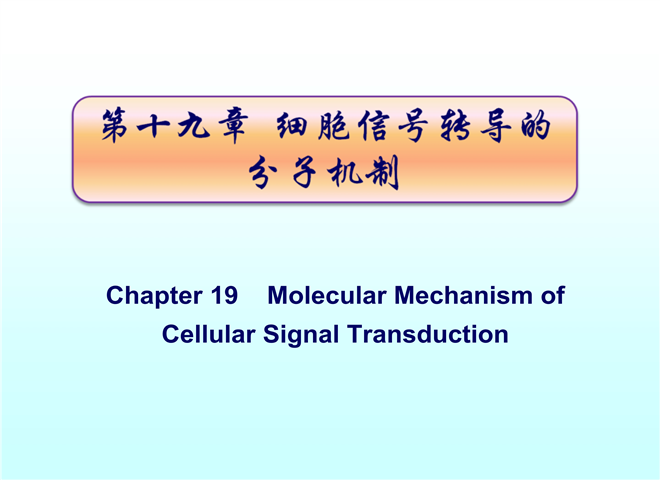 11_细胞信号转导-11